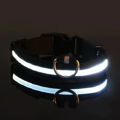 Dog Collar Nylon LED Night Safety Flashing Glow in the Dark Pet Dog Leash Pet Dogs Luminous Fluorescent Dog Accessories Collar (L)