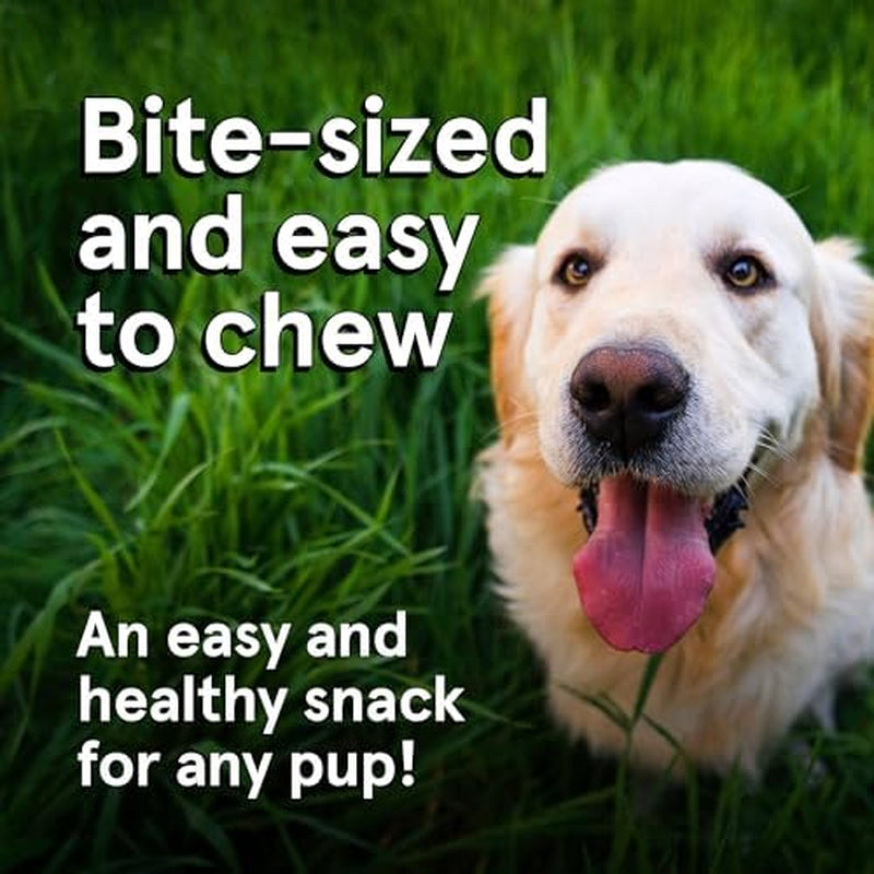 Real Meat Dog Treats - 12Oz Bag of Bite-Sized Air-Dried Lamb & Liver Jerky - Grain-Free, 95% Human-Grade, Grass Fed Lamb - All-Natural