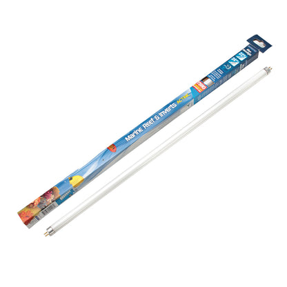 INTERPET T5 T8 REPLACEMENT UV UVA AQUARIUM LINEAR TROPICAL MOON DAYLIGHT