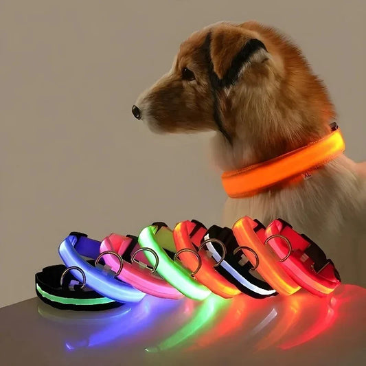 Dog Collar Nylon LED Night Safety Flashing Glow in the Dark Pet Dog Leash Pet Dogs Luminous Fluorescent Dog Accessories Collar (L)